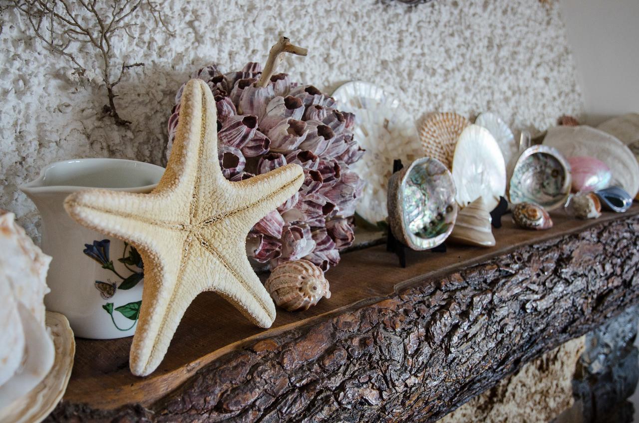 Seaside Holiday Apartment - Unique Location Cipressa Dış mekan fotoğraf